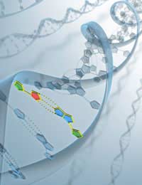 Gene Flow And Gm Foods