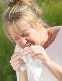 Gm Food Safe Allergies Study Food